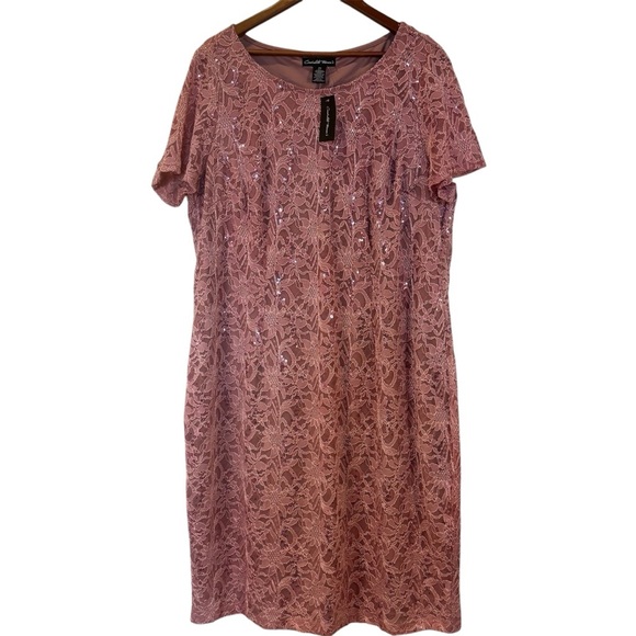 Cardolite Dresses & Skirts - Cardolite short sleeve Blush Pink Lace Dress, size 2X, NWT